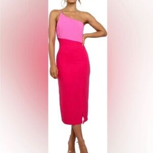 Beautiful Petal and Pup Colorblock Dress